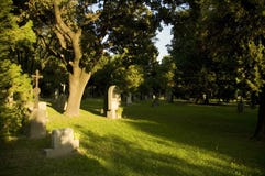 Cemetery With Fresh Green Trees Stock Image Cemetery With Fresh Green Trees Stock Image