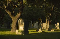 Cemetery With Fresh Green Trees Royalty Free Stock Image Cemetery With Fresh Green Trees Royalty Free Stock Image