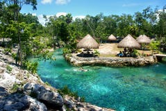 Cenote с водами и пышной растительностью бирюзы вокруг Tulum, Мексики, 2015 стоковое изображение Cenote с водами и пышной растительностью бирюзы вокруг Tulum, Мексики, 2015 стоковое изображение