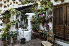 Entrance to a house in the center of the city of Córdoba completely covered with flower pots.