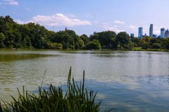 Central Park Lake in Manhattan, New York - USA. royalty free stock photos Central Park Lake in Manhattan, New York - USA. royalty free stock photos
