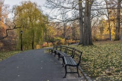 Central Park, New York City Photographie stock Central Park, New York City Photographie stock