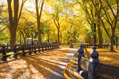 Central Park NY Стоковые Фотографии RF Central Park NY Стоковые Фотографии RF