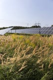 Centrale solaire sur le pré fleurissant d'été Image stock Centrale solaire sur le pré fleurissant d'été Image stock