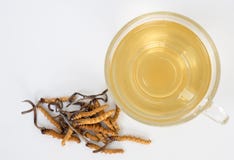 Centre choisi des cordyceps CHONG CAO de champignon ceci herbes Avec un verre de l'eau, ajoutez l'eau de l'ext. de sinensis d'Oph photo stock Centre choisi des cordyceps CHONG CAO de champignon ceci herbes Avec un verre de l'eau, ajoutez l'eau de l'ext. de sinensis d'Oph photo stock