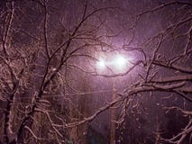 Centro da estrada nevado na cidade da noite com queda de neve fotografia de stock Centro da estrada nevado na cidade da noite com queda de neve fotografia de stock