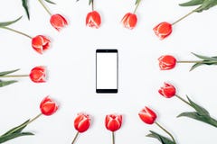 Centro de flores de tulipanes rojos y del teléfono móvil fotos de archivo libres de regalías Centro de flores de tulipanes rojos y del teléfono móvil fotos de archivo libres de regalías