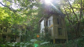Centro turístico abandonado del hotel demasiado grande para su edad por las plantas en el bosque de la selva, Asia Naturaleza con metrajes Centro turístico abandonado del hotel demasiado grande para su edad por las plantas en el bosque de la selva, Asia Naturaleza con metrajes