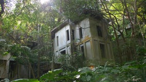 Centro turístico abandonado del hotel demasiado grande para su edad por las plantas en el bosque de la selva, Asia Naturaleza con almacen de metraje de vídeo Centro turístico abandonado del hotel demasiado grande para su edad por las plantas en el bosque de la selva, Asia Naturaleza con almacen de metraje de vídeo