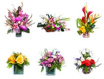 Centros de flores imagenes de archivo Centros de flores imagenes de archivo
