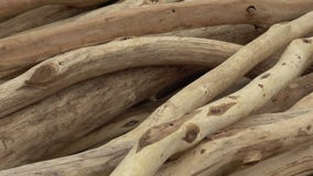 Ceppi di legno rotondi senza corteccia Ceppi di legno rotondi senza corteccia