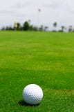 Ceramic Golf Ball Royalty Free Stock Image