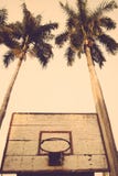 Cercle de basket-ball photos libres de droits Cercle de basket-ball photos libres de droits