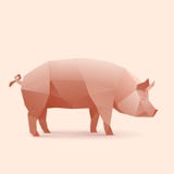 Cerdo libre illustration Cerdo libre illustration
