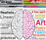 Cerebro humano izquierdo y derecho, cuáles usted es ilustración del vector Cerebro humano izquierdo y derecho, cuáles usted es ilustración del vector