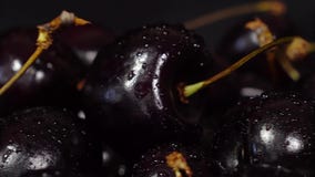 Cereza Cerezas maduras que giran sobre fondo negro Cereza dulce madura negra giratoria Vídeo de la rotación 4K UHD inconsútil almacen de metraje de vídeo Cereza Cerezas maduras que giran sobre fondo negro Cereza dulce madura negra giratoria Vídeo de la rotación 4K UHD inconsútil almacen de metraje de vídeo