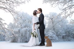 Cerimonia nuziale di inverno immagini stock libere da diritti Cerimonia nuziale di inverno immagini stock libere da diritti