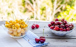 Cerises rouges et jaunes fraîches dans un plat, sur un fond de gre Photo libre de droits Cerises rouges et jaunes fraîches dans un plat, sur un fond de gre Photo libre de droits