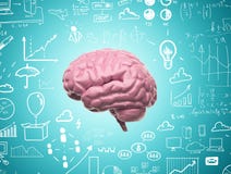 Cerveau 3d Cerveau 3d