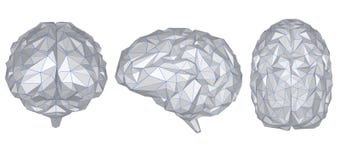 Cerveau polygonal gris Cerveau polygonal gris