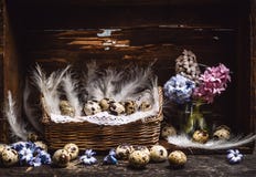 A cesta com ovos de codorniz e penas e mola floresce o grupo dos jacintos na tabela de madeira do vintage, sobre o fundo rústico, foto de stock A cesta com ovos de codorniz e penas e mola floresce o grupo dos jacintos na tabela de madeira do vintage, sobre o fundo rústico, foto de stock