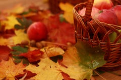 Cesta de mimbre de manzanas rojas en el fondo de las hojas de otoño Imagenes de archivo Cesta de mimbre de manzanas rojas en el fondo de las hojas de otoño Imagenes de archivo
