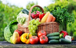 Cesta de vime com os vegetais orgânicos crus sortidos no jardim
