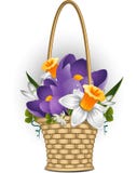 Cestino dei fiori della sorgente royalty illustrazione gratis Cestino dei fiori della sorgente royalty illustrazione gratis