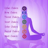chakras sju royaltyfri illustrationer chakras sju royaltyfri illustrationer