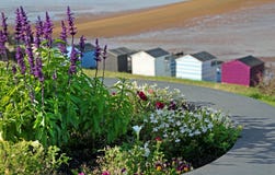Chalet huts by the sea and flora