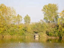 Chambre et Autumn Trees de lac photo libre de droits Chambre et Autumn Trees de lac photo libre de droits