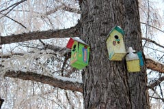 Chambres pour des oiseaux en parc d'hiver image stock Chambres pour des oiseaux en parc d'hiver image stock