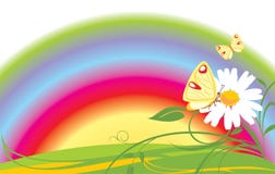 Chamomile, Butterflies And Rainbow Stock Photo Chamomile, Butterflies And Rainbow Stock Photo