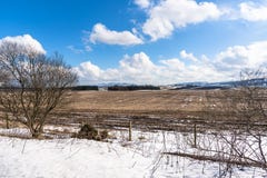 Champ Patrially couvert en neige et ciel bleu photos stock Champ Patrially couvert en neige et ciel bleu photos stock