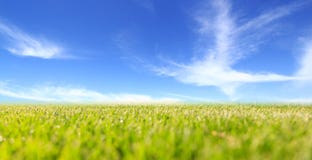 Champ vert abstrait et ciel bleu Photo libre de droits Champ vert abstrait et ciel bleu Photo libre de droits