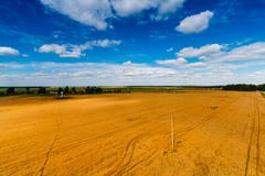 Champ énorme de blé et de ciel bleu ci-dessus dans la campagne image stock Champ énorme de blé et de ciel bleu ci-dessus dans la campagne image stock