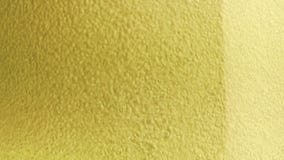 Champagne-bellen binnen een fluit, gouden achtergrond stock footage Champagne-bellen binnen een fluit, gouden achtergrond stock footage