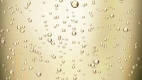 Champagne bubbles (seamless loop)