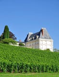 Champagne vicino a Epernay, Francia Fotografia Stock Champagne vicino a Epernay, Francia Fotografia Stock