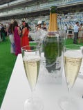 CHAMPAGNE στις φυλές στοκ φωτογραφίες CHAMPAGNE στις φυλές στοκ φωτογραφίες