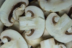 Champignons de couche blancs coupés en tranches image stock Champignons de couche blancs coupés en tranches image stock