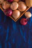 Champignons de couche et oignons image stock Champignons de couche et oignons image stock