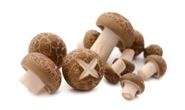Champignons de paris frais dans un panier sur un fond en bois photo stock Champignons de paris frais dans un panier sur un fond en bois photo stock