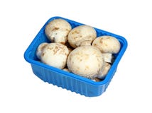 Champignons Packed In A Plastic Basket. Stock Photography