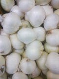 Champignons μανιταριών στα μαύρα κουτιά στα ράφια μαγαζιό Φυτικό τμήμα της υπεραγοράς, άσπρα μανιτάρια του Παρισιού, κάστανο στοκ φωτογραφίες Champignons μανιταριών στα μαύρα κουτιά στα ράφια μαγαζιό Φυτικό τμήμα της υπεραγοράς, άσπρα μανιτάρια του Παρισιού, κάστανο στοκ φωτογραφίες