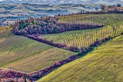 Champs cultivés dans les bad-lands image stock Champs cultivés dans les bad-lands image stock