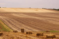Champs de roulement de la Moravie, République Tchèque Beau paysage image stock Champs de roulement de la Moravie, République Tchèque Beau paysage image stock