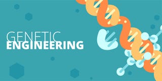 Genetic engineering concept stock illustration Genetic engineering concept stock illustration