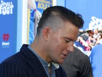 Channing Tatum Royalty Free Stock Images Channing Tatum Royalty Free Stock Images