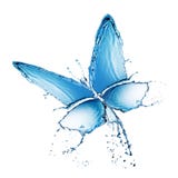 Chapoteo del agua buttefly aislado fotografía de archivo libre de regalías Chapoteo del agua buttefly aislado fotografía de archivo libre de regalías